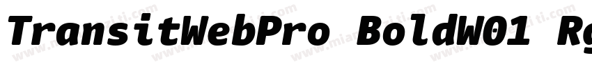 TransitWebPro BoldW01 Rg字体转换